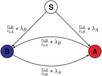 Choosing Optimal Seed Nodes in Competitive Contagion